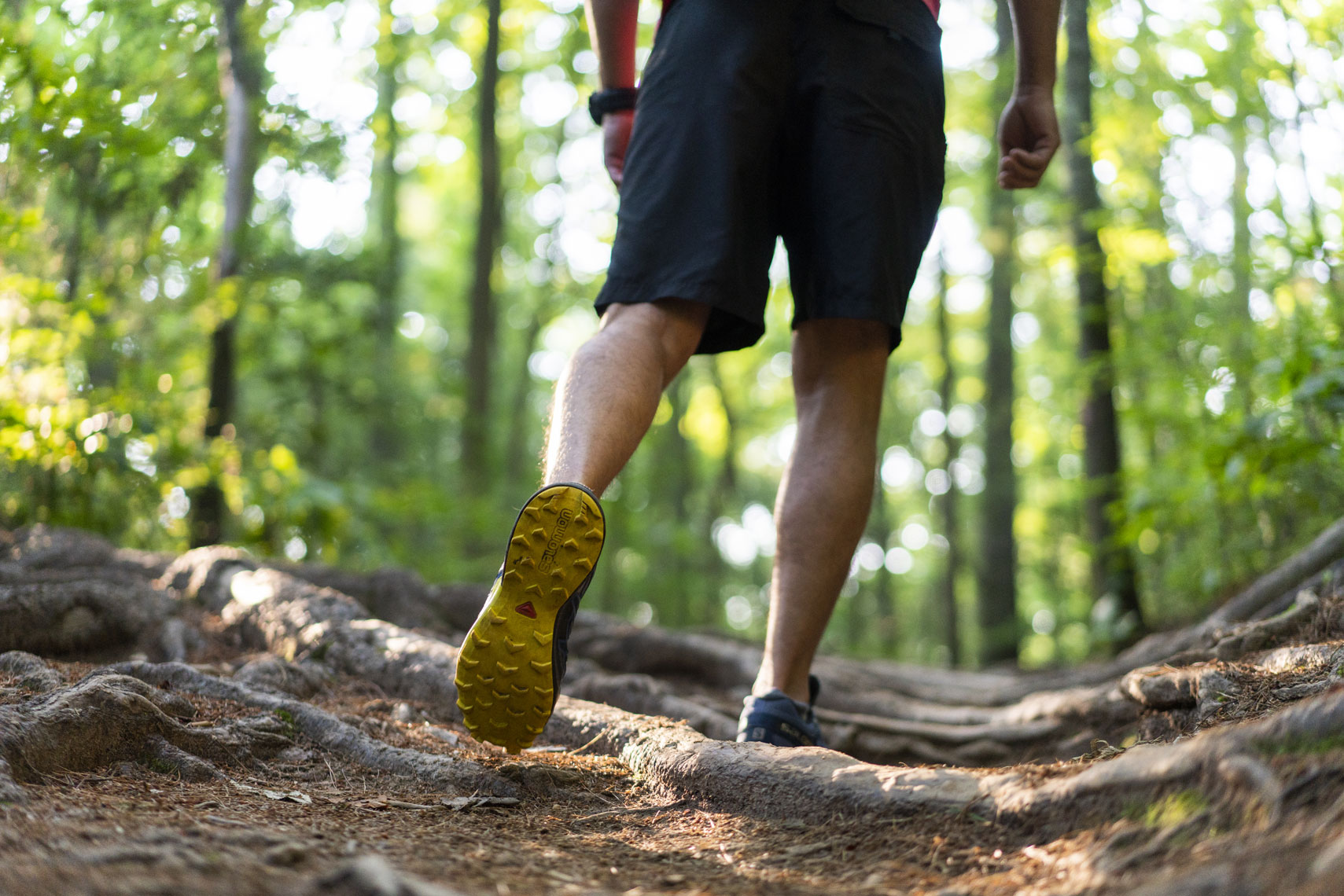 BentCreekHiking_7-4-18_6408