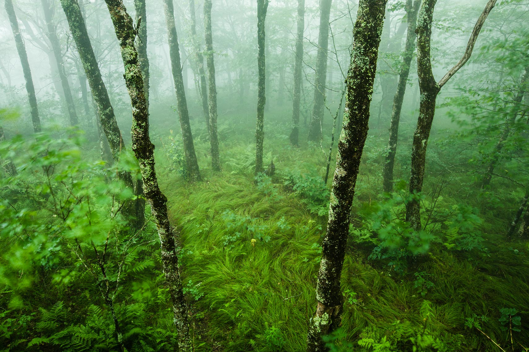 CraggyGardensCampGround_7-21-15_82241web