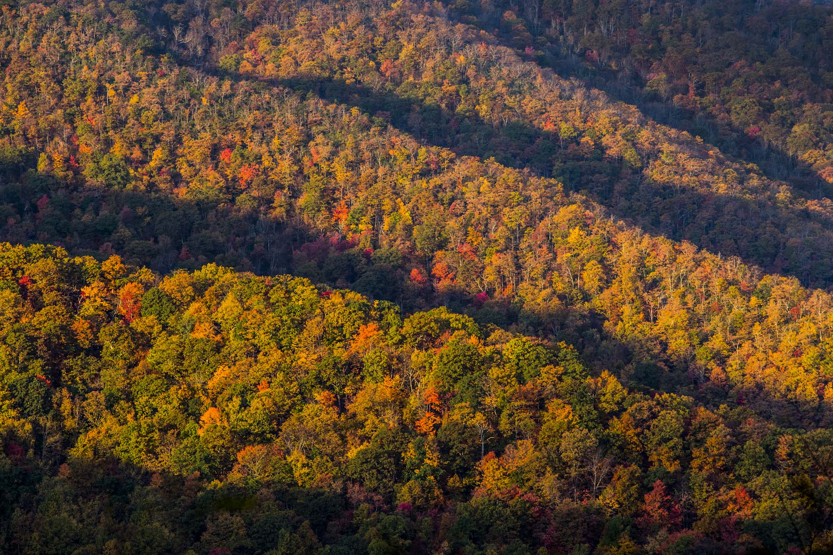 Ridge lines along the Appalachian Mountains